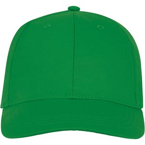 Elevate Essentials 38675 - Cappellino Ares a 6 pannelli Verde Felce